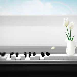 1 - 45 - 音频 - 窥看