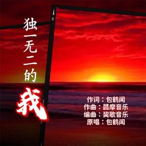 独一无二的我 伴奏
