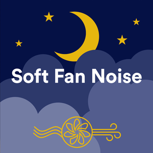 Fan Noises