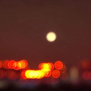 锦上添花 Free style