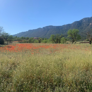 When Someone Shows You Who They Are