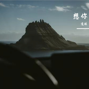 想你