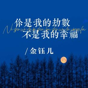 你是我的劫数不是我的幸福