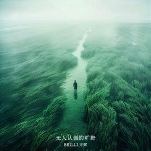 无人认领的旷野