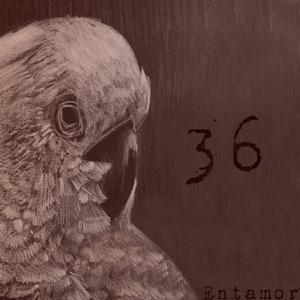 36