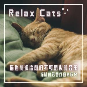 治愈猫咪的舒缓音乐