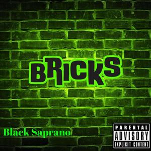 BRICKS