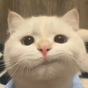 那送你rose好了（Prod.TuesdayBeats）