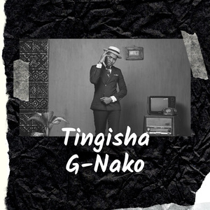 Tingisha