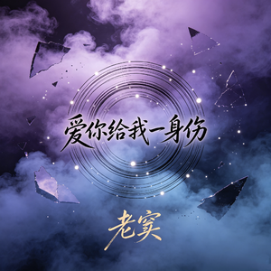 爱你给我一身伤