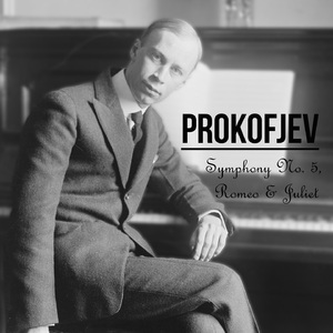 Symphony No. 5 in B-Flat Major, Op. 100:I. Andante