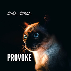 Provoke
