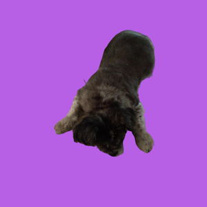 所爱隔山海（额我的爱）