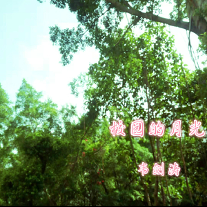 校园的月光