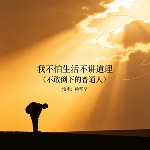 我不怕生活不讲道理（不敢倒下的普通人）
