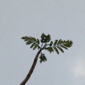 戈壁恋人