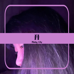 Lily之海盗