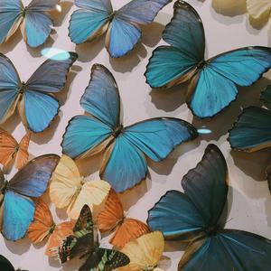 你和雪的共同点