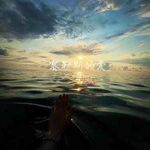 赛勒斯的爱(DJ版)