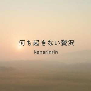 静かなまなざし