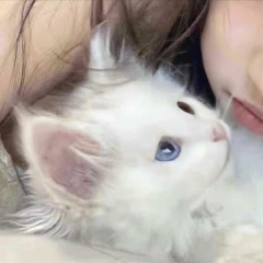 失败不是终点