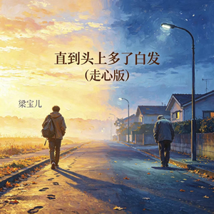 直到头上多了白发(走心版)