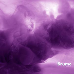 Je suis Brume