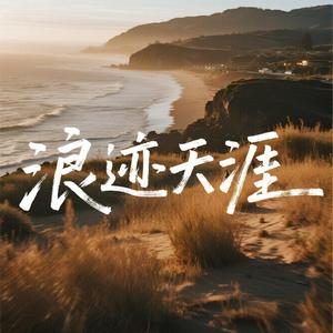 浪迹天涯 (Remix)