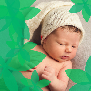 Michaeli, vesluj loď ke břehu