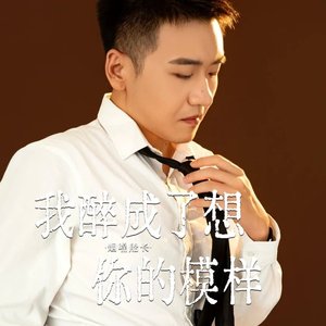 我醉成了想你的模样（翻自 张艺迈）