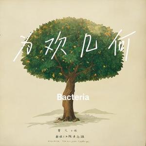 为欢几何