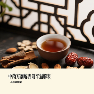 中药方剂解表剂辛温解表