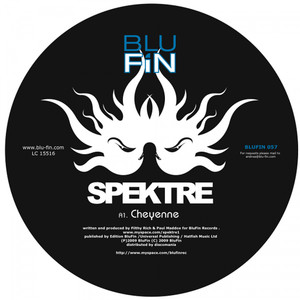 Butterfly Collector (Original)