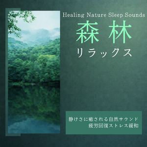 森の風景の調べ