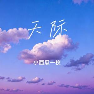 如果最后不是你 (Remix)