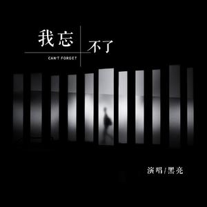 我忘不了