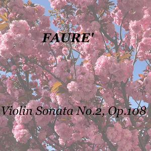 Violin Sonata No.2, Op.108, I. Allegro non troppo