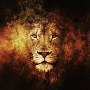 我管你（翻自 华晨宇）