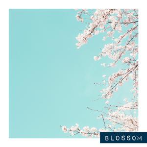 Blossom