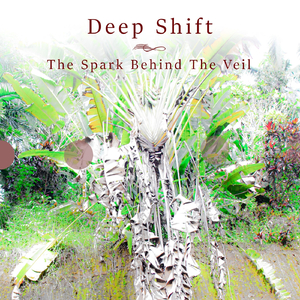 The Spark Behind the Veil