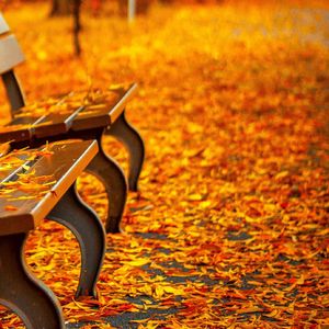 房东的猫-云烟成雨（洛水 remix）