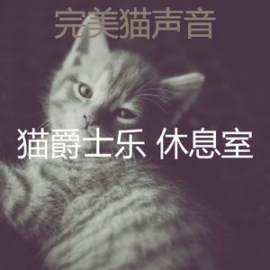 精彩小猫环境