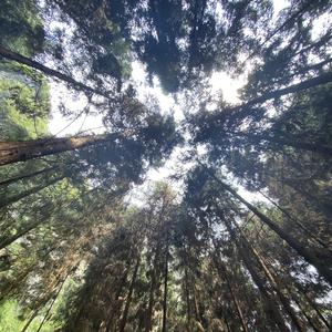 当你走了（Raindrop. remix）