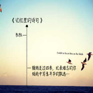 赵志刚 - 记忆里的诗句