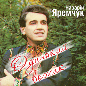 Горить горобина