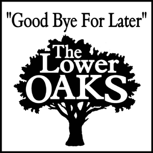 Good Bye for Later