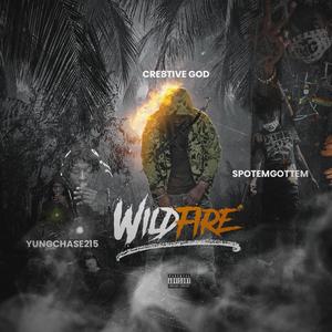 Wildfire 2