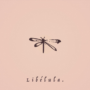 Libélula