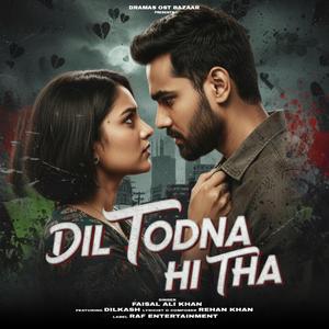 Dil Todna Hi Tha (feat. Dilkash)
