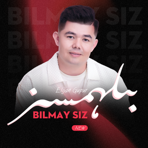 Bilmaysiz
